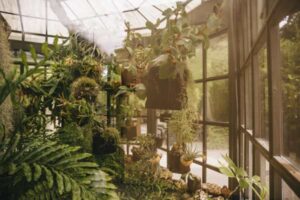 jardín de invierno